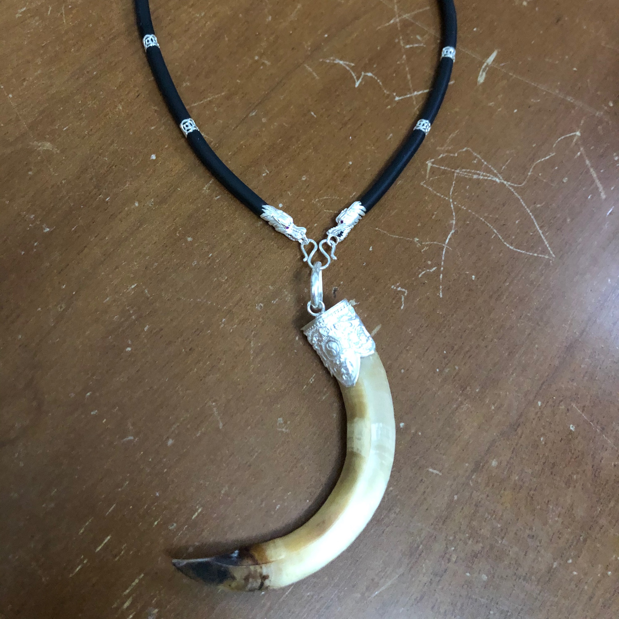 Nanh heo tự nhiên bọc bạc cao tuổi( cả dây và nanh)