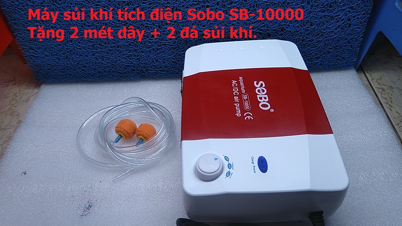 Máy sủi khí oxy tích điện SOBO dùng cho hồ cá.