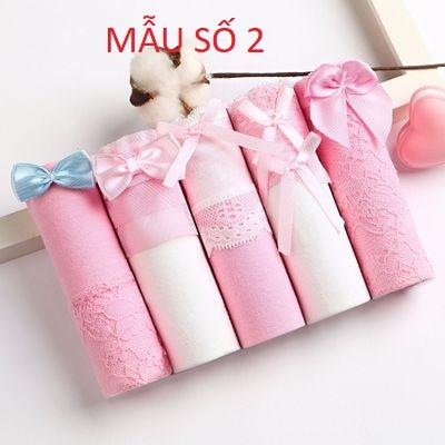 Set 5 quần chip cotton nữ quần chip cotton nữ QC001