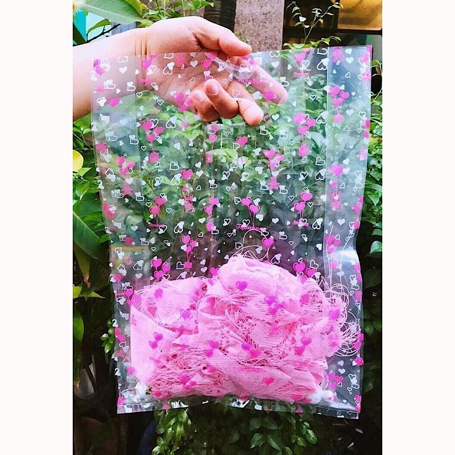 FULL SIZE - 1KG Túi Nilong Trong Suốt In Hình Đựng Mỹ Phẩm, Phụ Kiện - Túi PP In Hình Cao Cấp