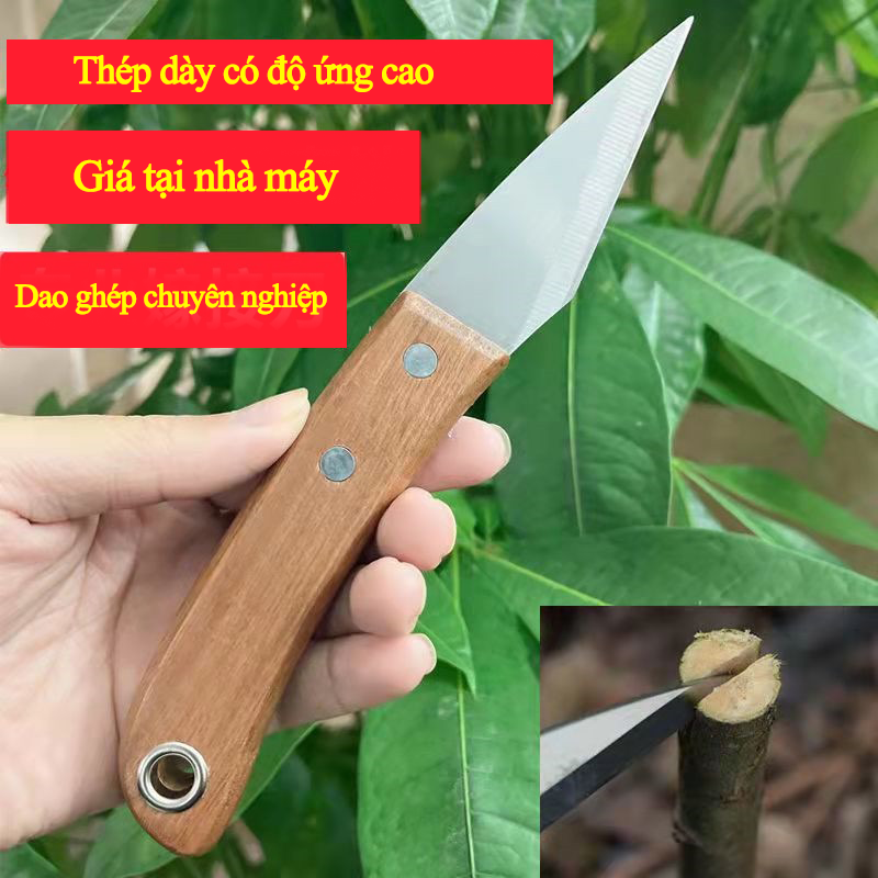 Dao ghép cành, triết cành, dao cán gỗ siêu chắc