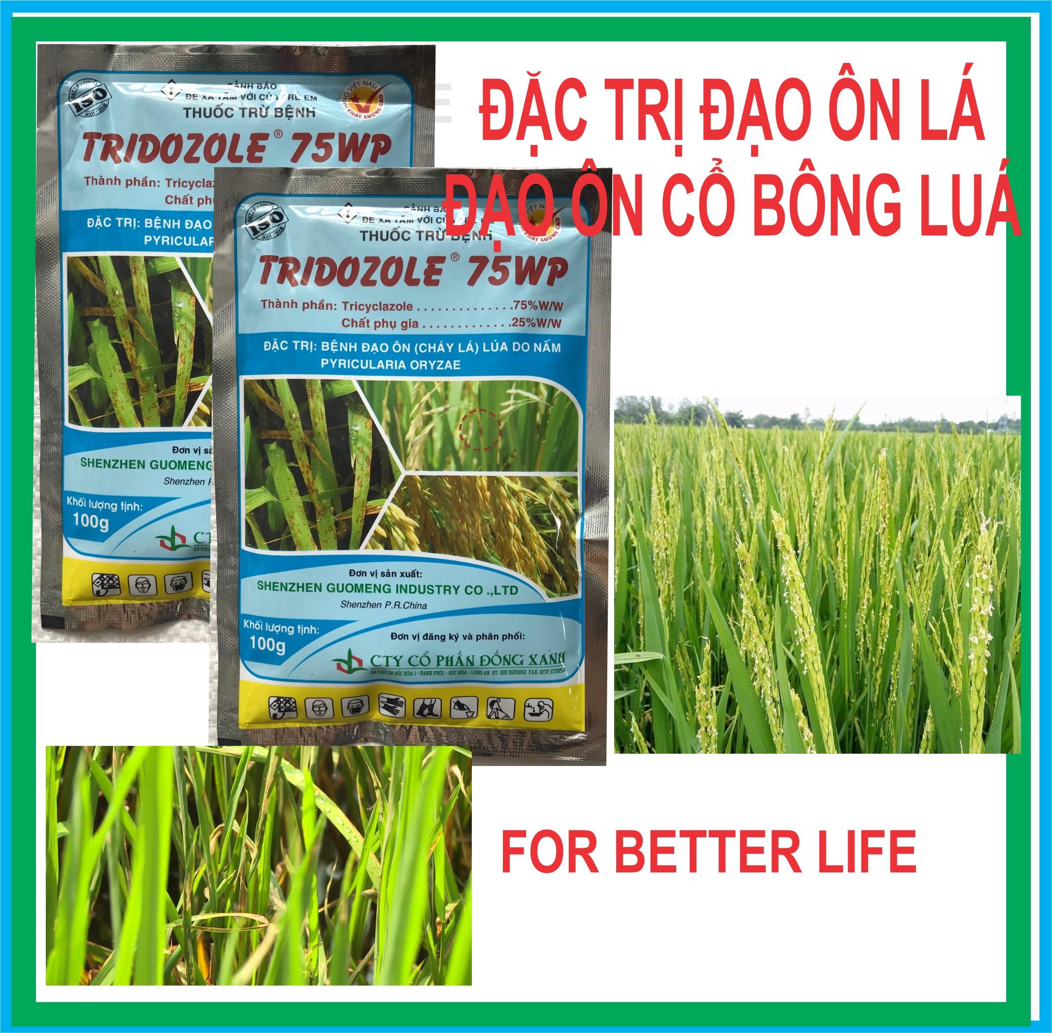 Trừ Đạo Ôn Lá, Đạo Ôn Cổ Bông Lúa TRIDOZOLE 75WP Gói 100gr