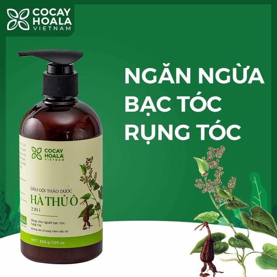 Dầu gội thảo dược hà thủ ô 2in 1