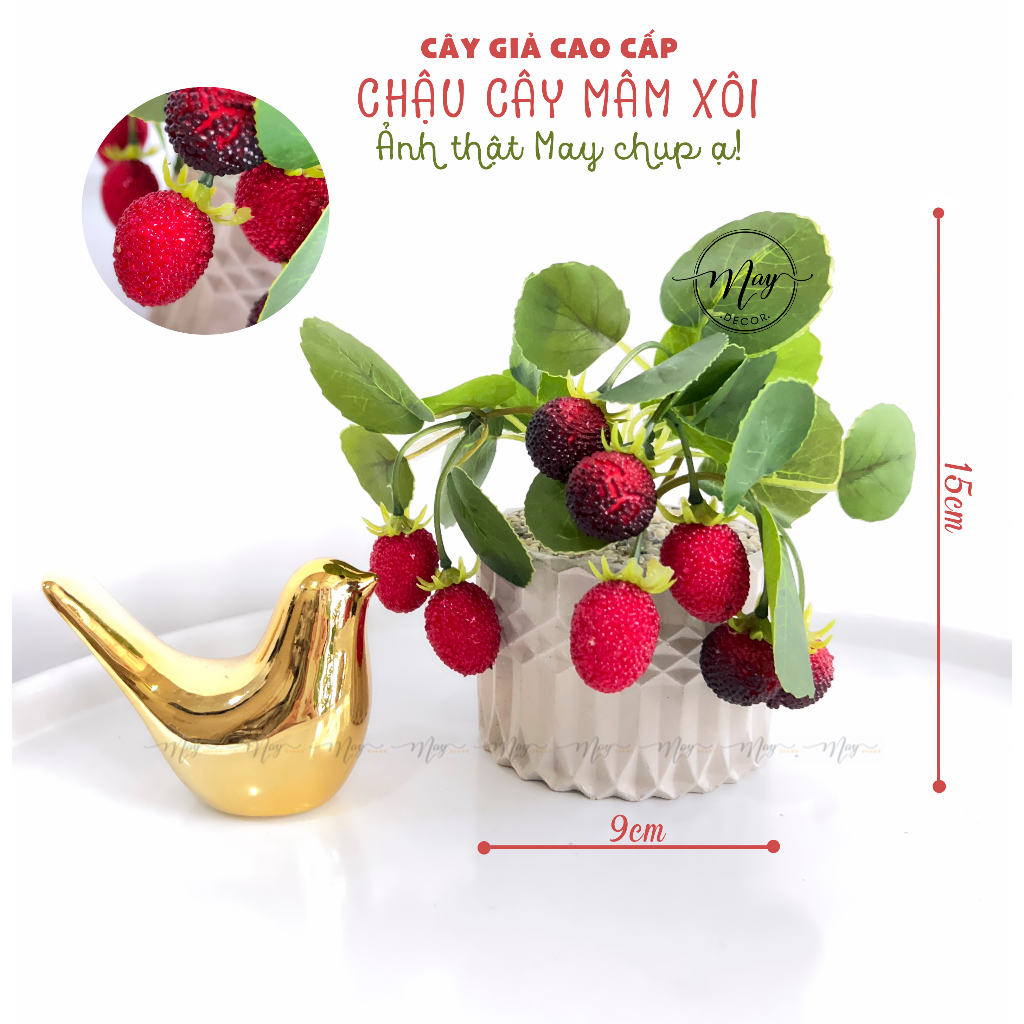 Chậu cây giả, Chậu cây Mâm Xôi để bàn trang trí