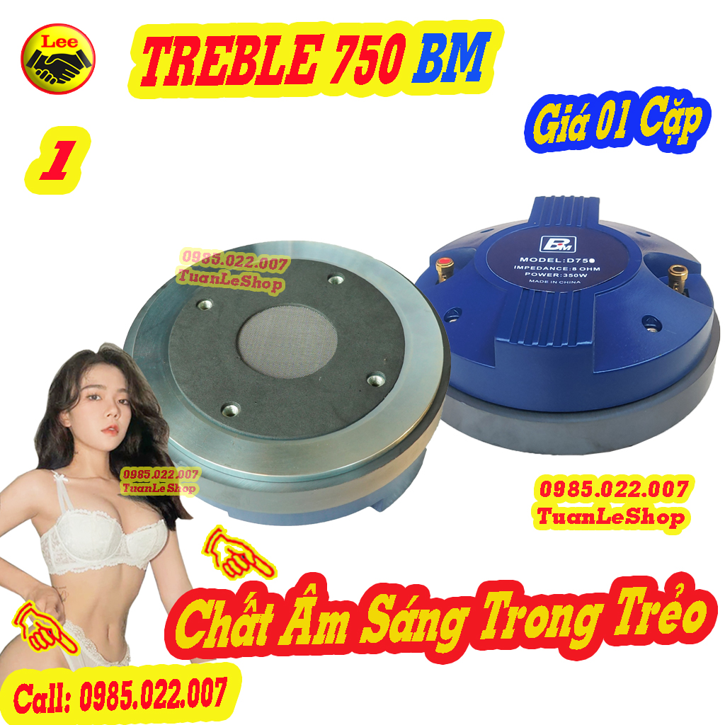 Loa treble 750 bm cao cấp + 02 tụ 2,2mf + giá 02 loa trep 750