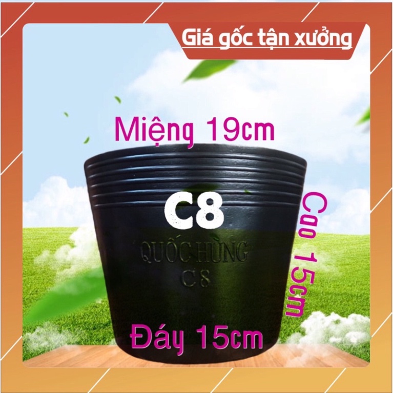 Combo 50 chậu c8 thương hiệu Quốc hùng dày dặn