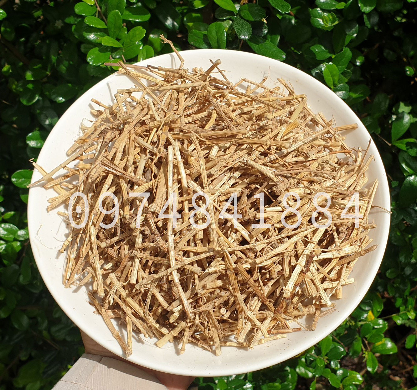 500g Rễ cỏ tranh khô