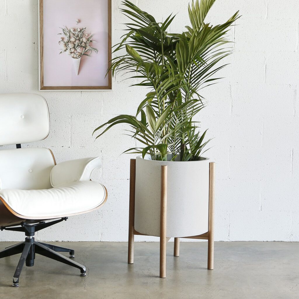 CHẬU CÂY XI MĂNG ĐÁ MÀI TRÒN 3 KÍCH CỠ 3 MÀU SẮC ( CHỈ GIAO HỎA TỐC HỒ CHÍ MINH )