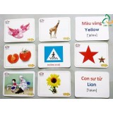 Bộ 416 Thẻ Học Tiếng Anh Thông Minh Flashcard Cho Bé yêu