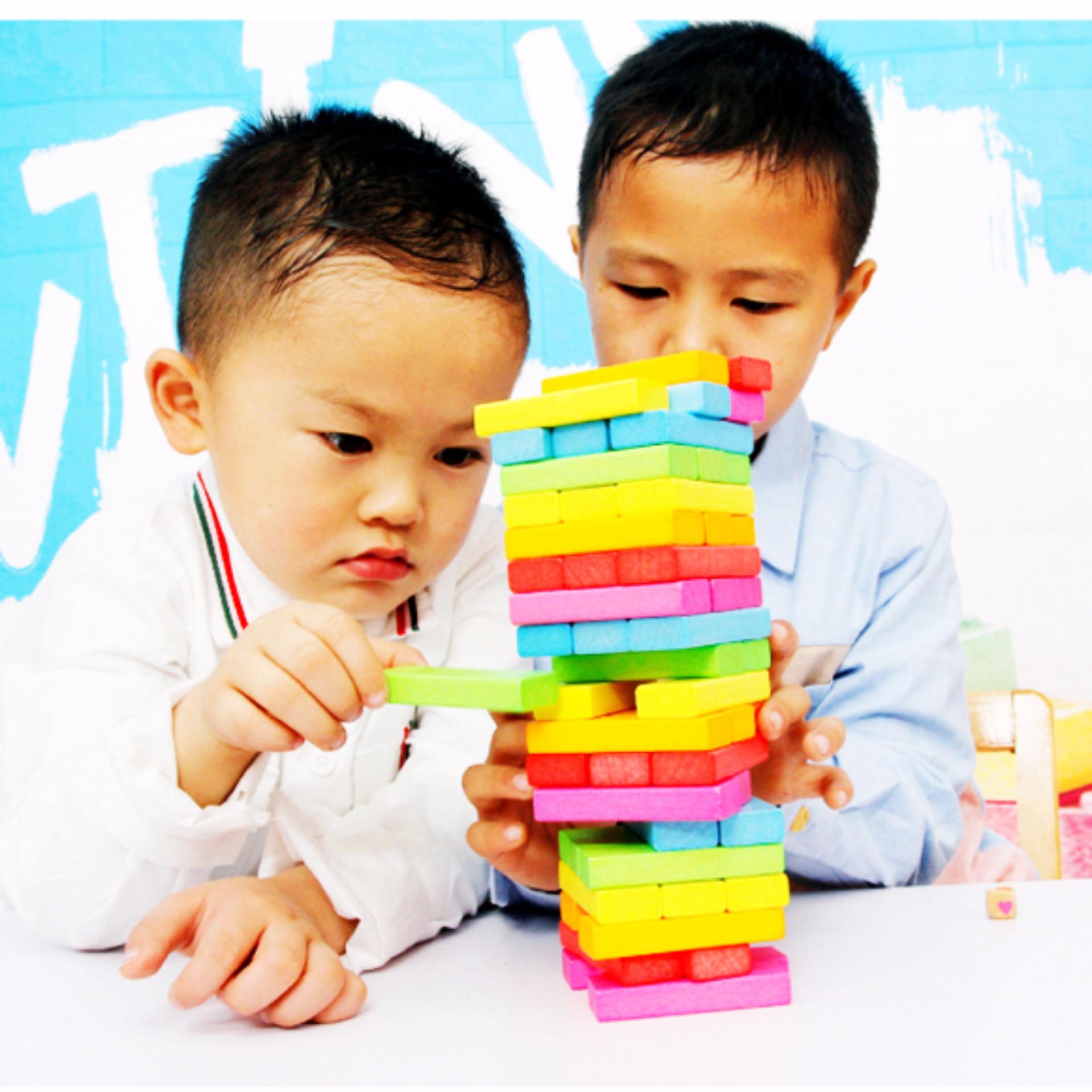Bộ đồ chơi rút gỗ màu 48 thanh