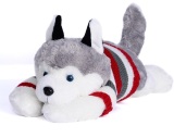 Chó bông Husky dễ thương trắng xám