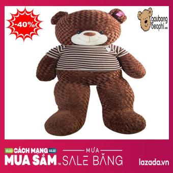 Gấu bông teddy áo len cao cấp size 1m8 - Gấu Bông Béo Phì Shop  
