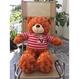 GẤU BÔNG TEDDY CAO CẤP KHỔ VẢI 80CM DÀI 60CM MÀU CAM