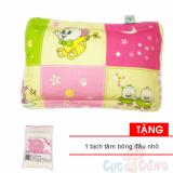 Gối nằm Đinh Lăng thảo dược cho bé số 2 Tặng 1 gói tăm bông đầu nhỏ