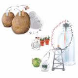 Máy phát điện xanh từ chất hữu cơ Đồ chơi khoa học sáng tạo