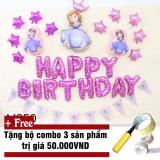 Set bóng sinh nhật công chúa Elsa MS50