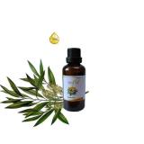 Tinh dau tram - Tinh dầu tràm gió 10ml