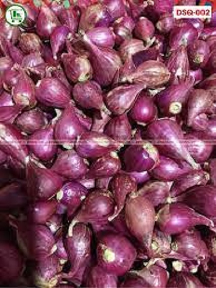 Hành tím lý sơn siêu ngon . tặng kèm 0.1kg tỏi tím nhà trồng