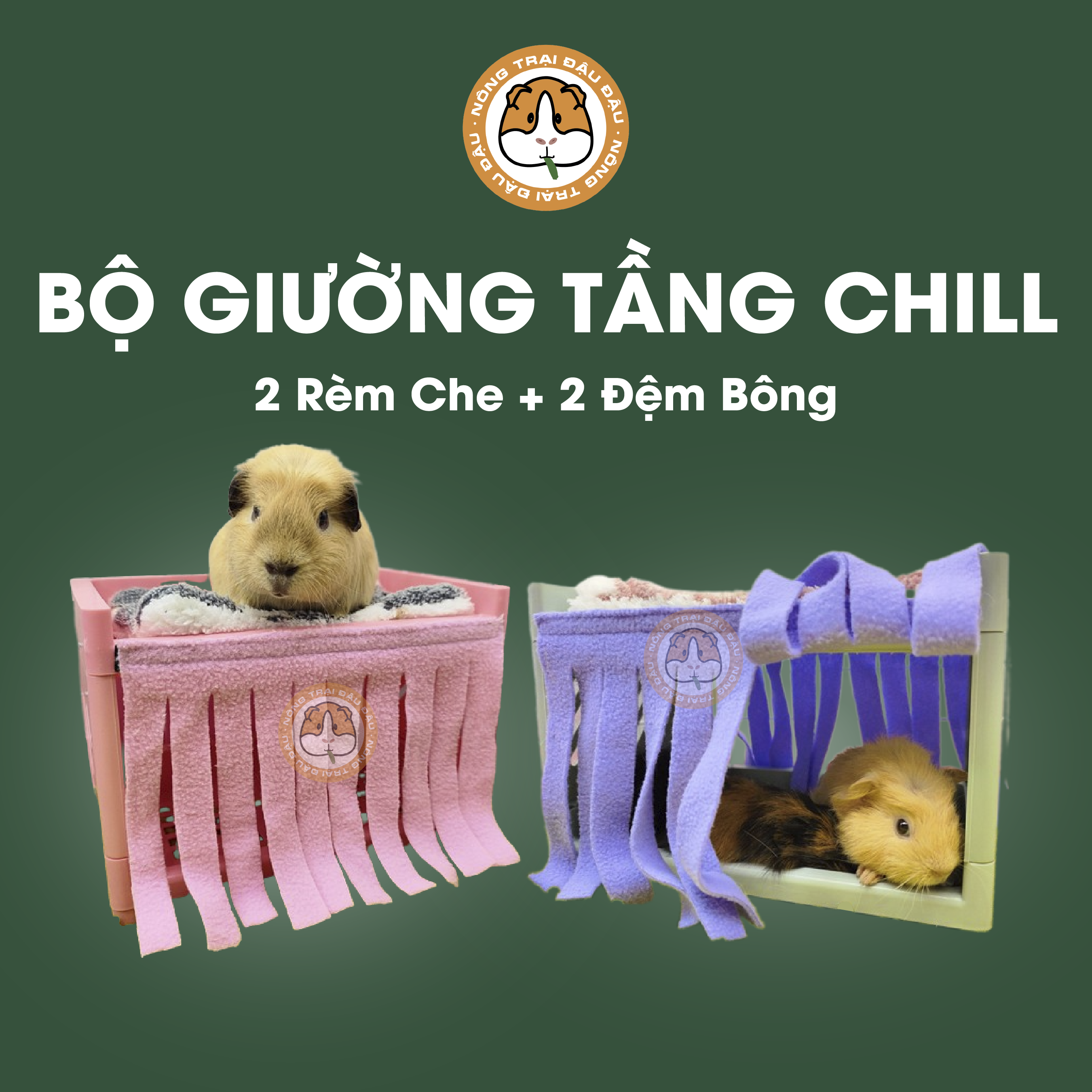 Giường nằm cho bọ ú chuột lang ấm cúng