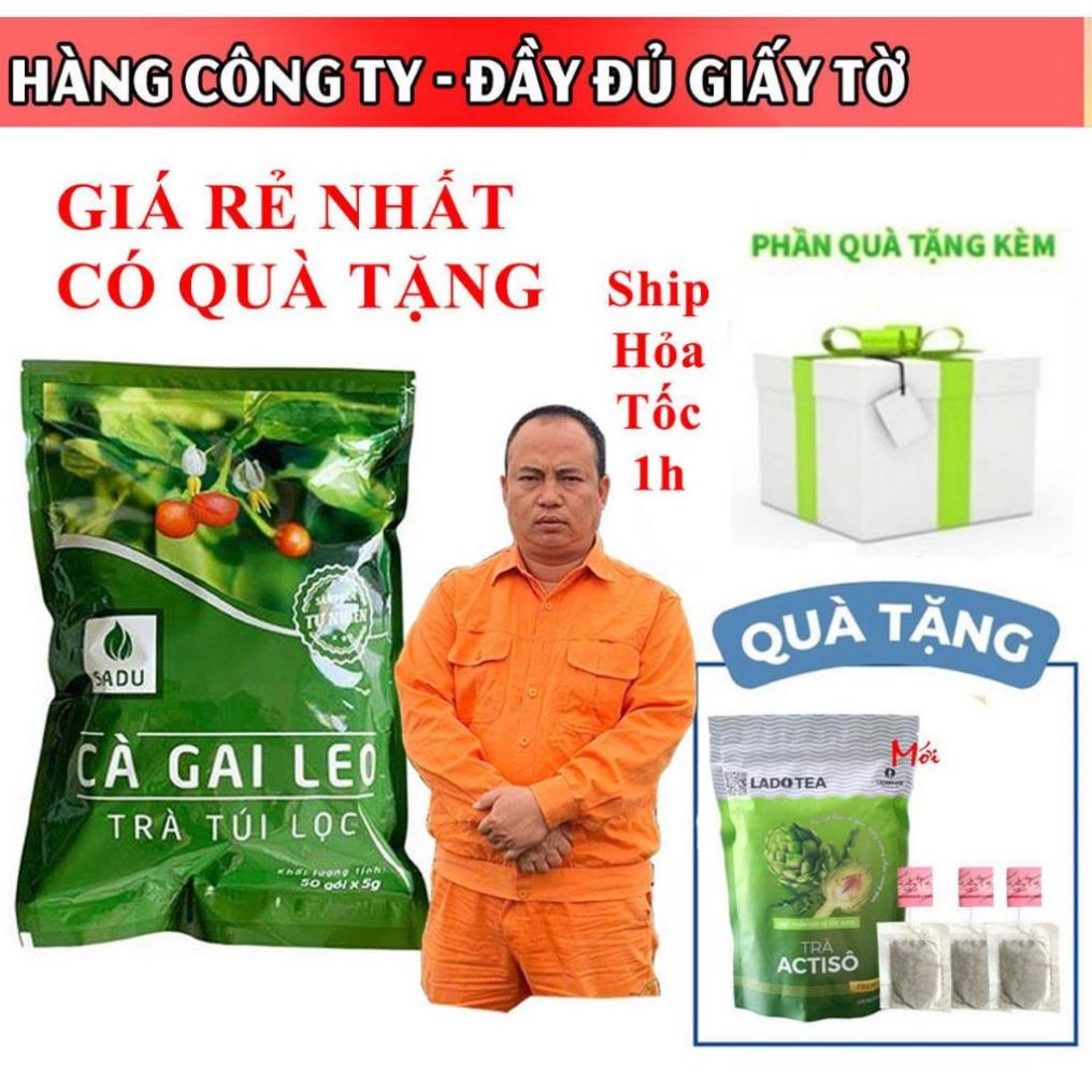 Trà cà gai leo túi lọc Sadu giúp giải độc gan, hỗ trợ thanh nhiệt mát gan 1 bịch 250g