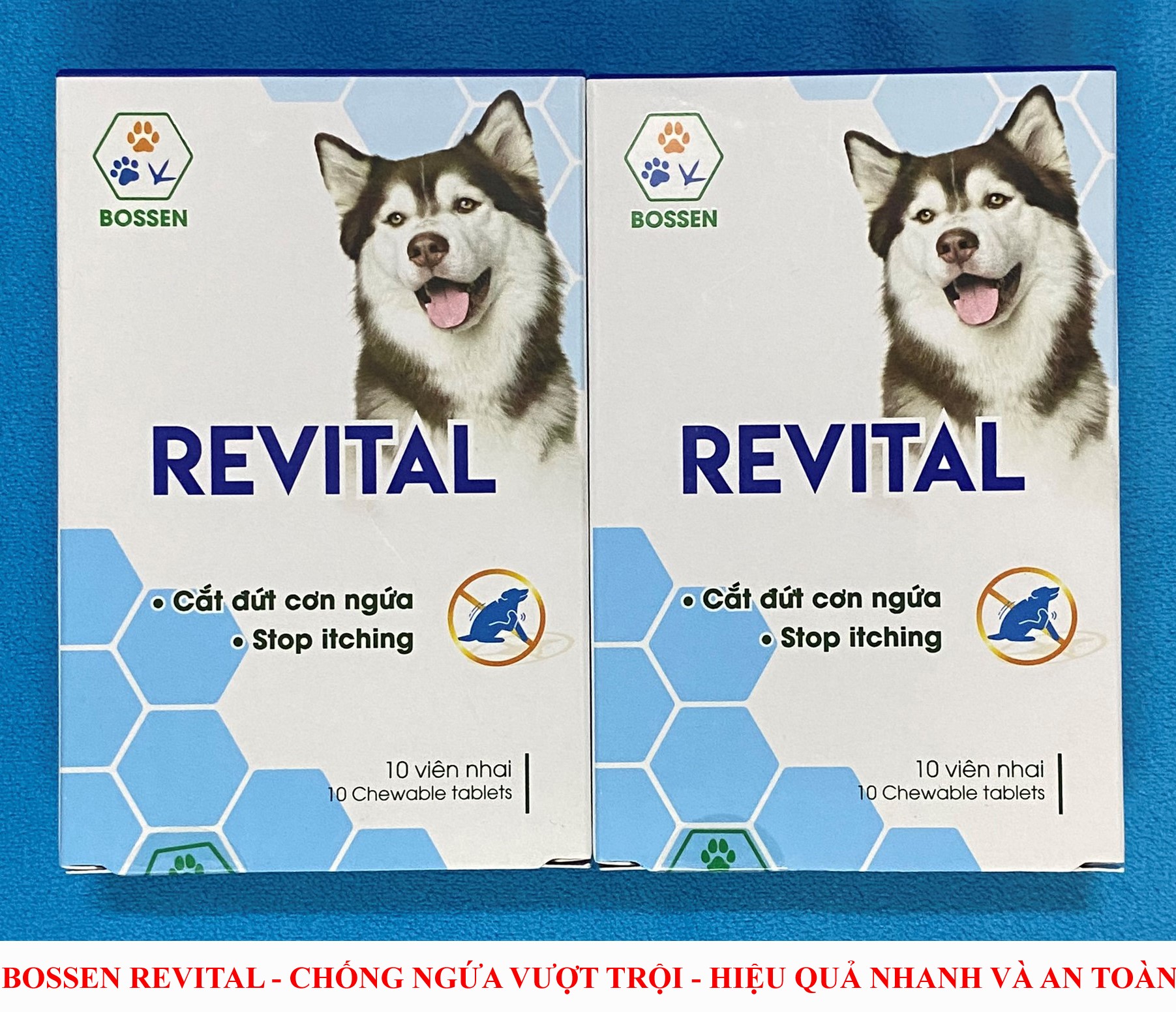 BOSSEN Revital - Chống ngứa do dị ứng, nấm, viêm da ghẻ mũ cho chó - Revital cắt đứt cơn ngứa - Hộp 10 viên