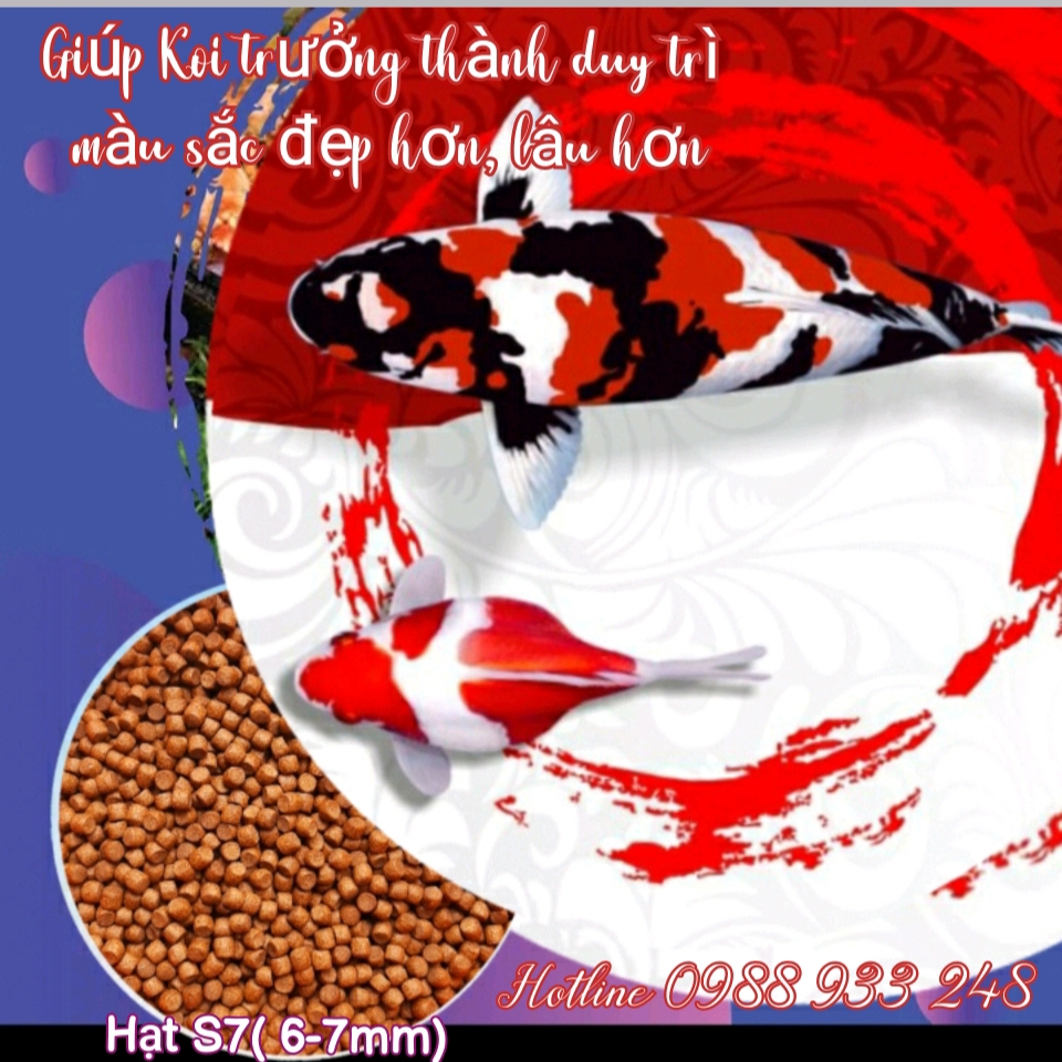 Cám KOI STELLA S7 dành cho cá KOI || 1Kg