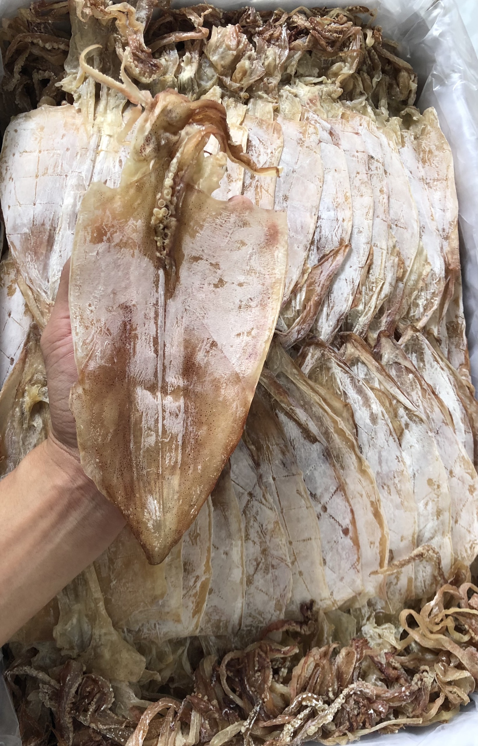 1kg mực khô khánh hòa loại 25 con