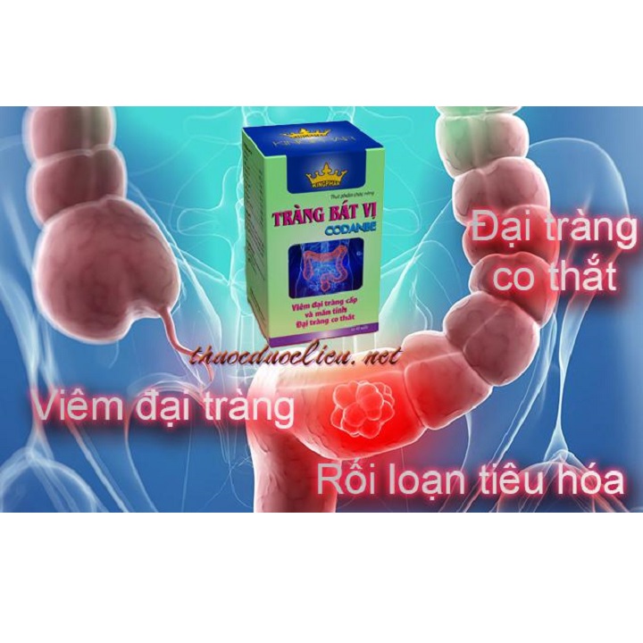 [Hàng chính hãng]COMBO 2 HỘP Viên Uống Tràng Bát Vị Kingphar -Hỗ trợ điều trị viêm đại tràng , rối loạn tiêu hóa , co thắt đại tràng