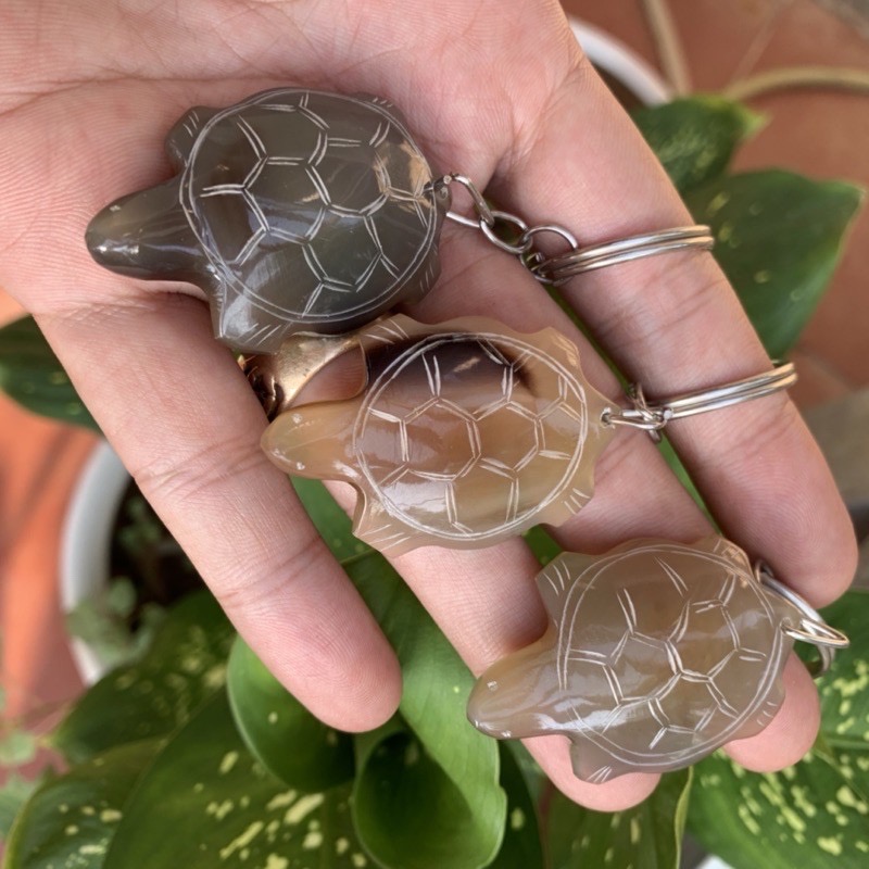 Combo 3 móc treo chìa khóa bằng sừng hình con Rùa - OTH016