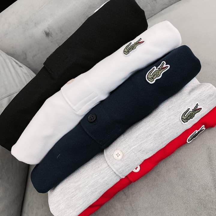 [FreeShip]COMBO RẼ ĐẸP 2 Áo thun cá Sấu nam cao cấp MC STORE VIP CS-001