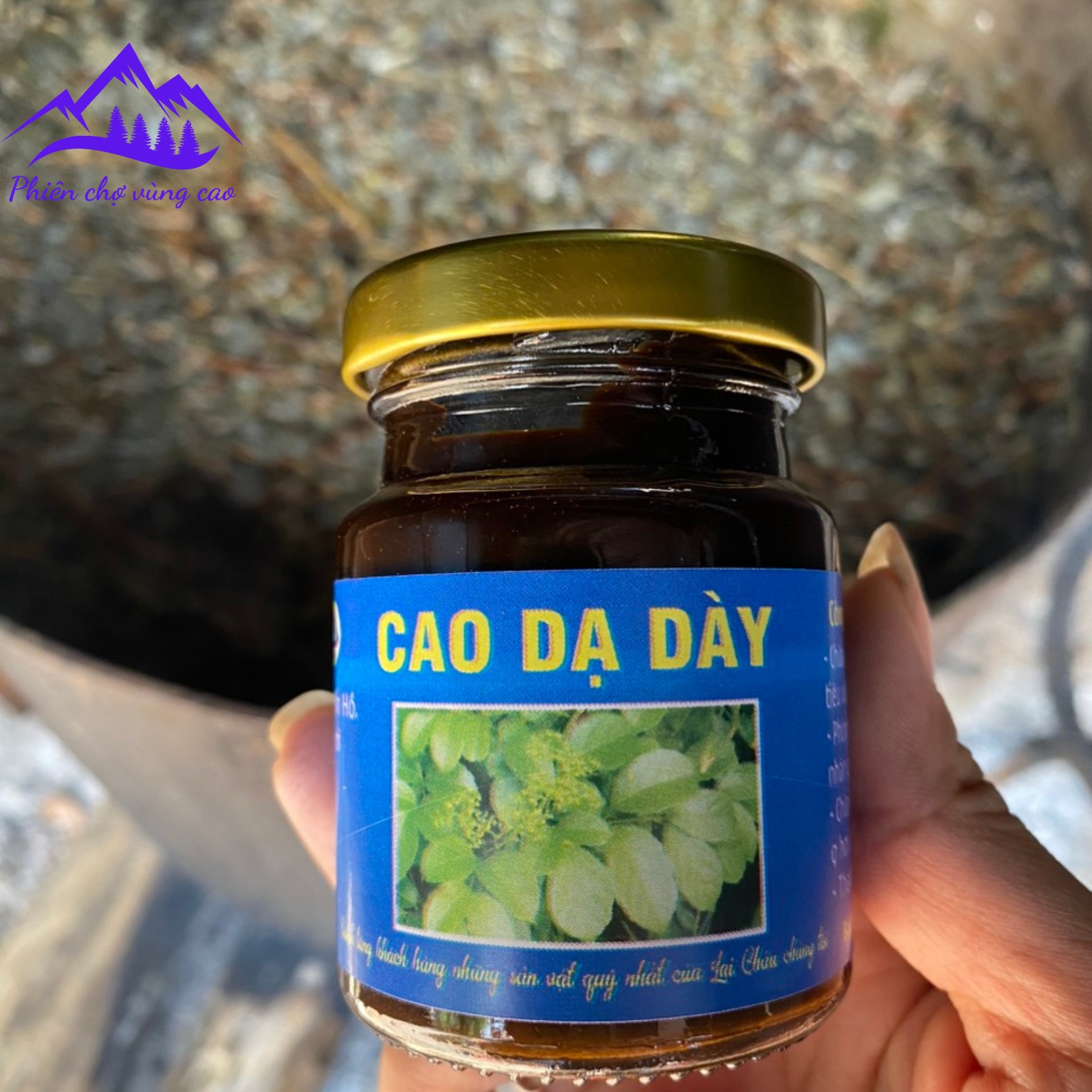 Cao chè dây Cao Bằng nguyên chất, cao dạ dày nấu thủ công, chắt lọc cô đặc từ chè dây Lai Châu, trà dây leo rừng Sapa