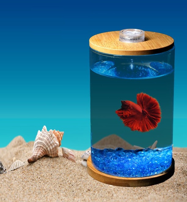Bể cá chọi Bể cá mini để bàn Betta-01