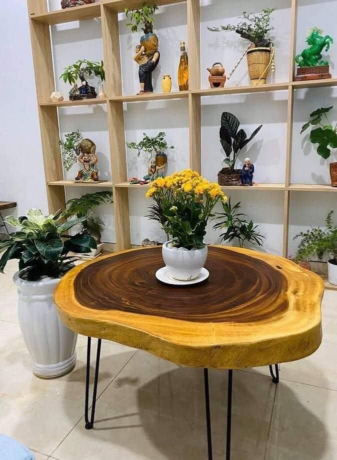Bàn ghế tròn gỗ me tây chân sắt hairpin, ngồi cafe, quán nước, ban công