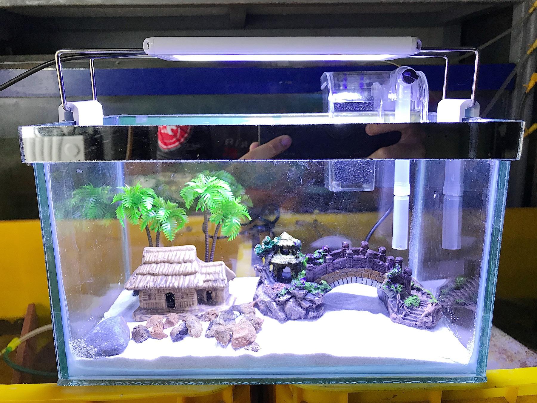 "Hoàn tiền đến 10%" COMBO HỒ CÁ TRANG TRÍ DÀI 25CM RỘNG 10CM CAO 15CM