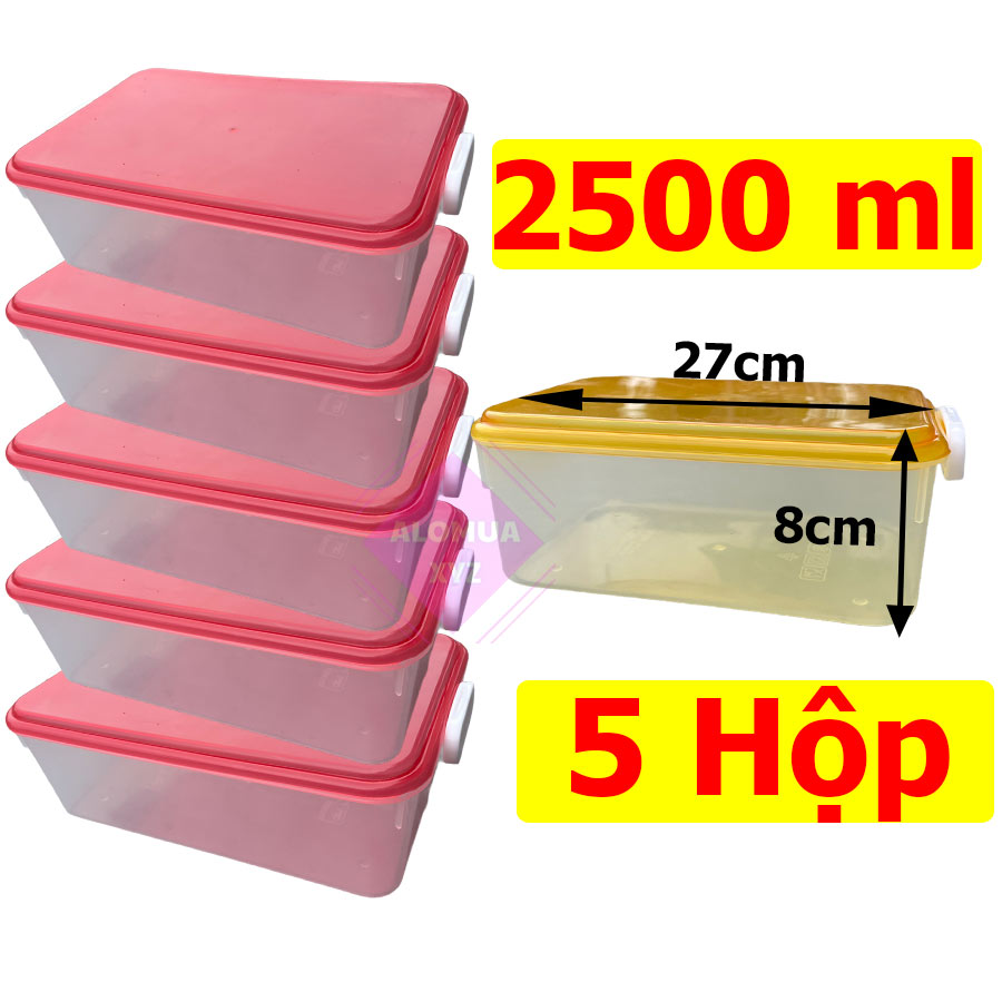Combo 5 Hộp nhựa đựng thực phẩm chữ nhật cao cấp, dung tích 2500ml, nắp gài chắc chắn. Màu ngẫu nhiên-HCN-03