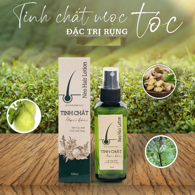 Xịt dưỡng tóc Đinh Hương Nhu chiết xuất tinh dầu bưởi - Dưỡng tóc giúp mọc tóc, ngăn rụng tóc 120ml - Bibo Home