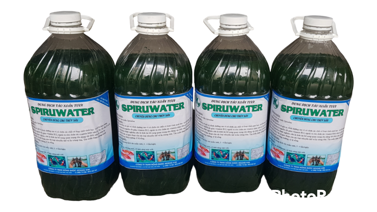 SpiruWater - SINH KHỐI TẢO XOẮN SPIRULINA. DÙNG LÀM THỨC ĂN CHO THỦY SẢN 5L