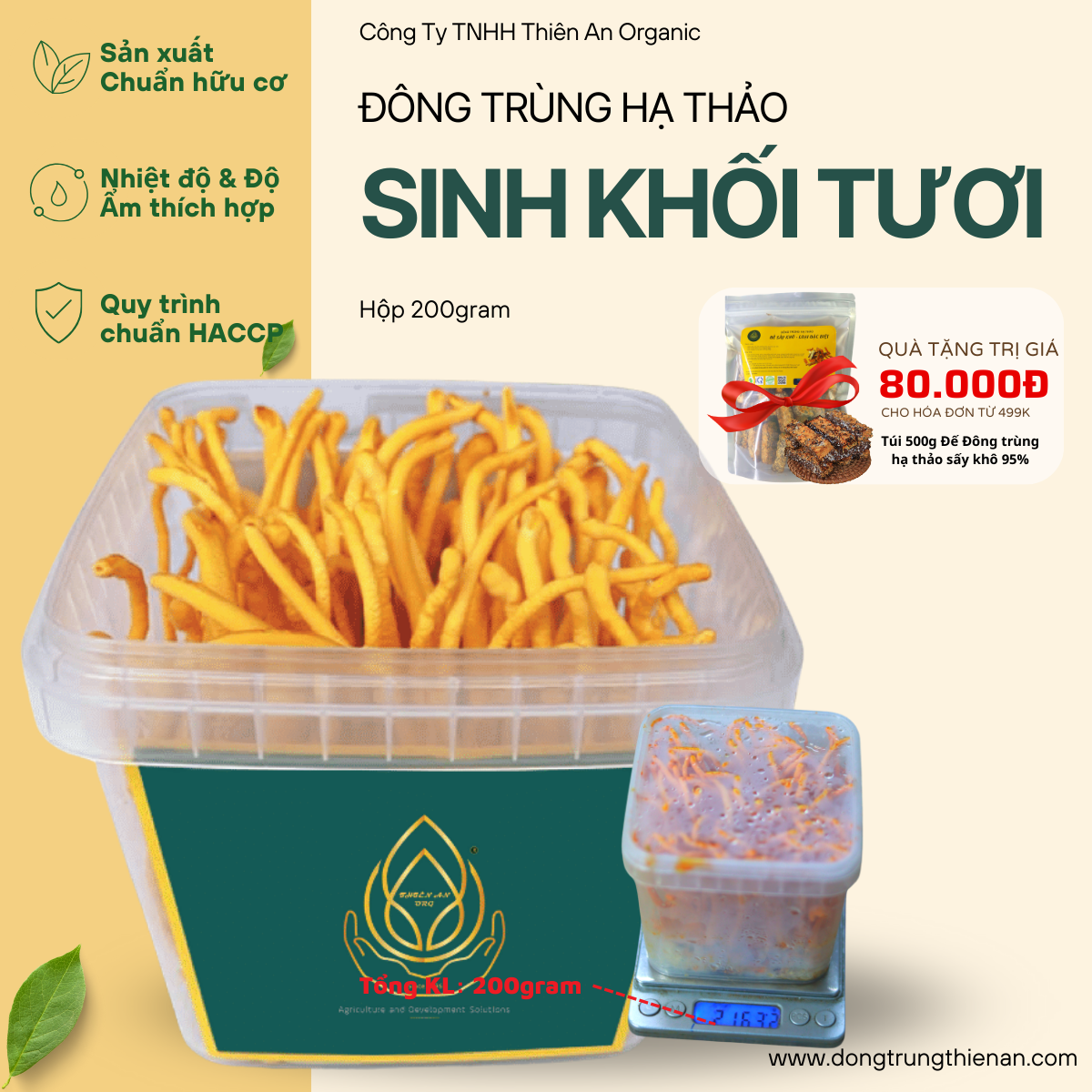 Đông Trùng Hạ Thảo Sinh Khối Tươi 200gram Thiên An giúp dễ ngủ tăng cường hệ miễn dịch tốt cho tim mạch Chỉ giao Kv. Miền Nam