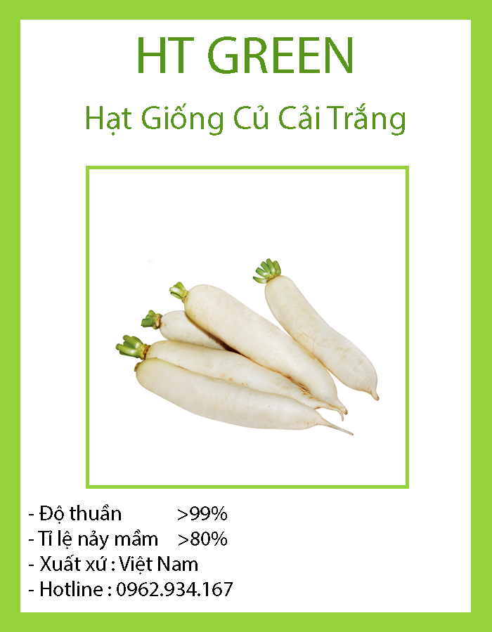 Hạt giống củ cải trắng