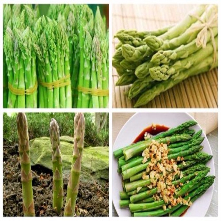 gó 30 hạt giống măng tây xanh mua 5 sản phẩm tặng 1