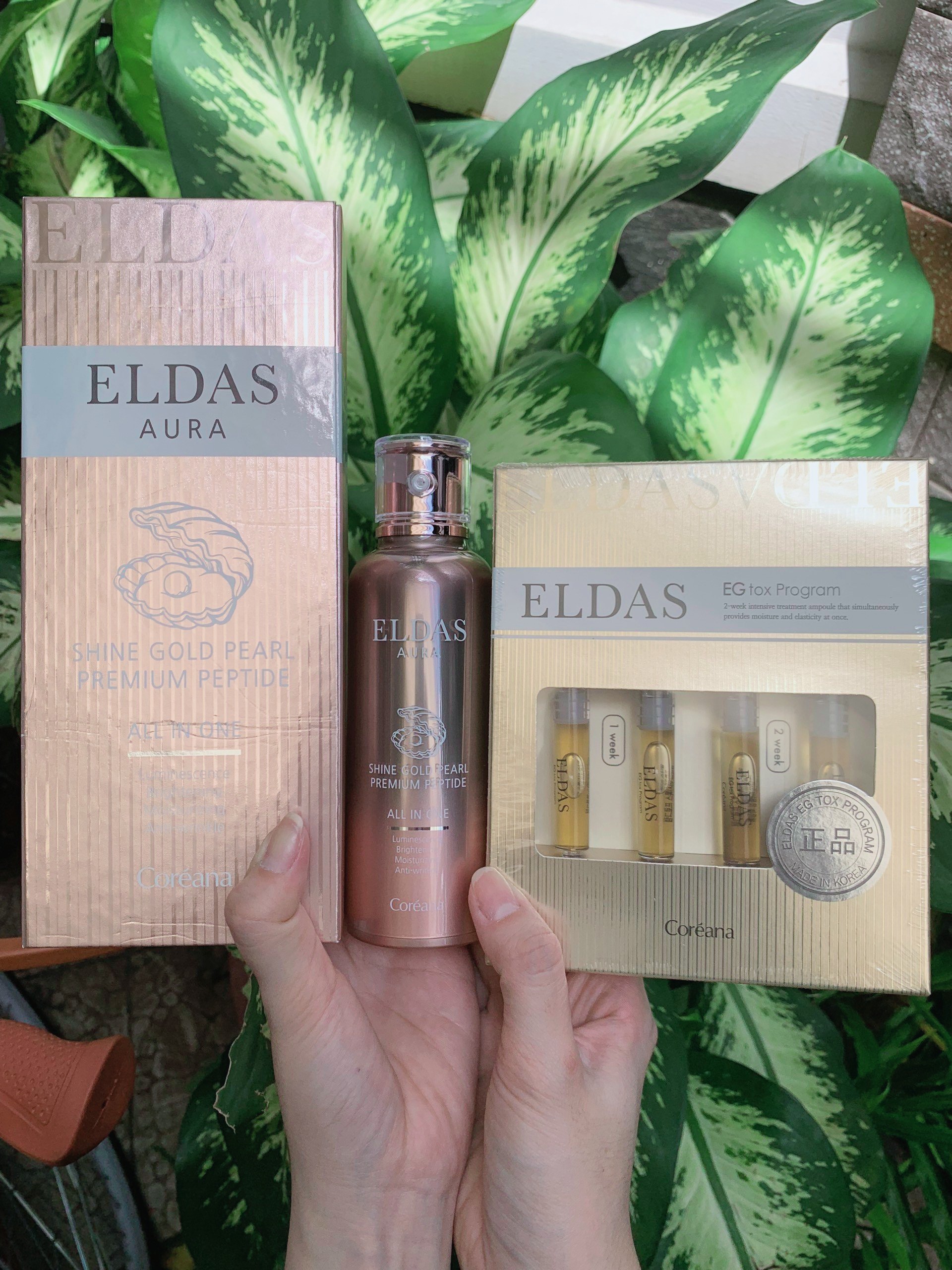 Serum tế bào gốc Eldas Aura Chai 100ml -  Serum ELDAS Eg Tox Program Hộp 4 ống