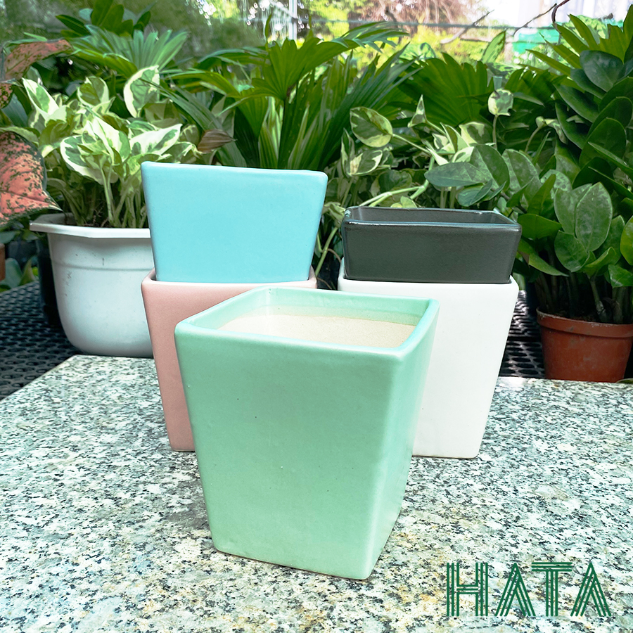 Chậu gốm sứ vuông vát nhiều màu sắc. Hatagarden