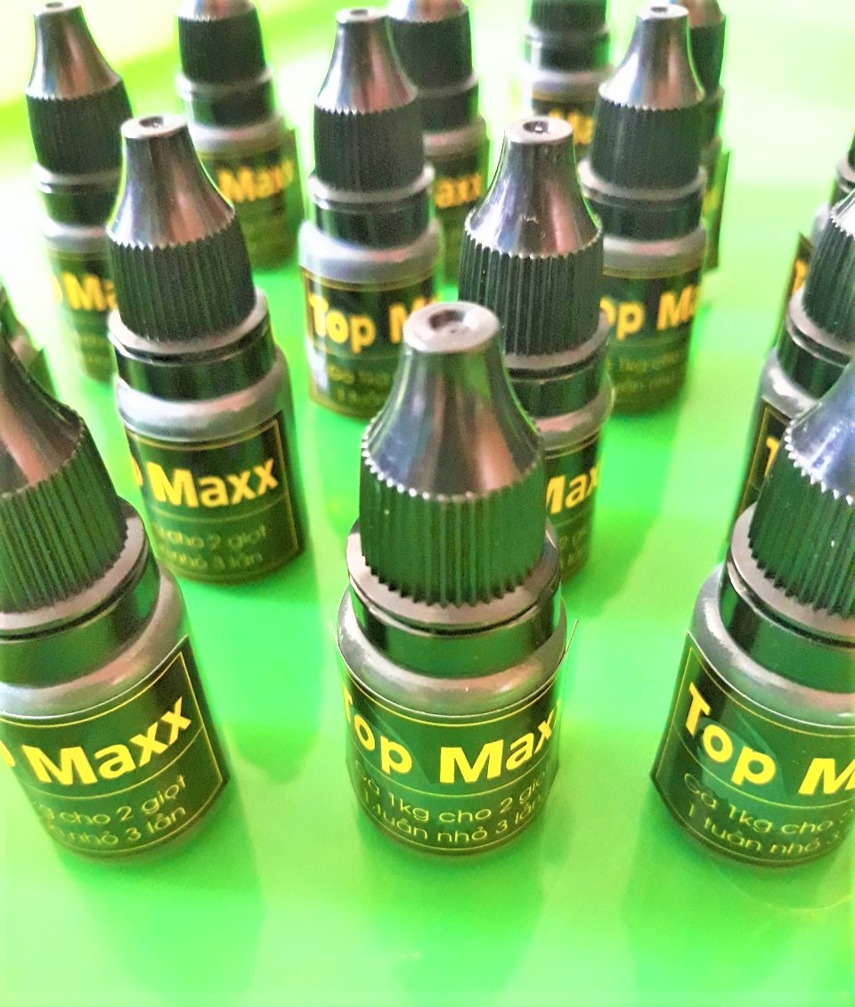 -TOPMAXX-Thuôi Nuôi Cho Gà Đá Thế Hệ Mới Tăng Bo Lớn 10ml/chai Topmax I Tỷ Trần Cựa Gà
