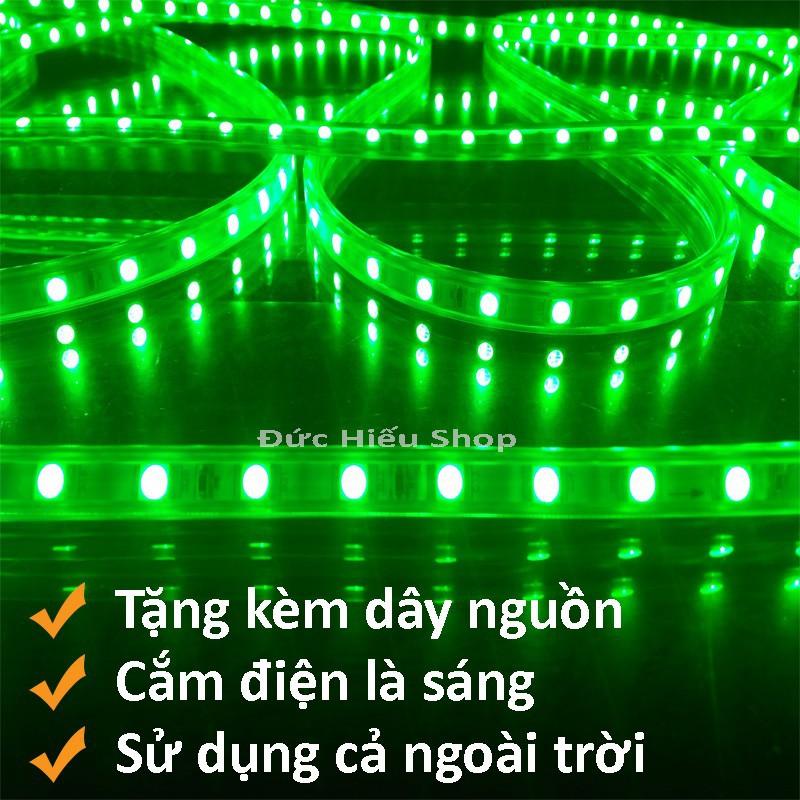 10m dây Đèn LED 5050 - Có nguồn không chớp - Xanh lá, trắng, vàng, xanh dương, đủ màu