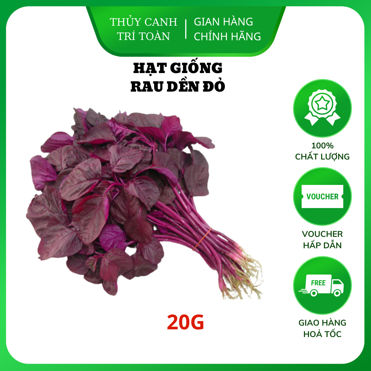 Hạt giống Rau Dền Đỏ sinh trưởng khỏe, trồng quanh năm - Hạt giống Rạng Đông
