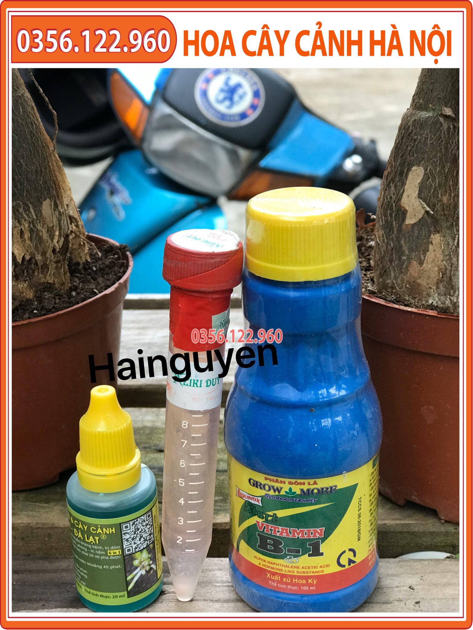 Combo 3 sản phẩm chăm sóc - kích ki cho hoa lan