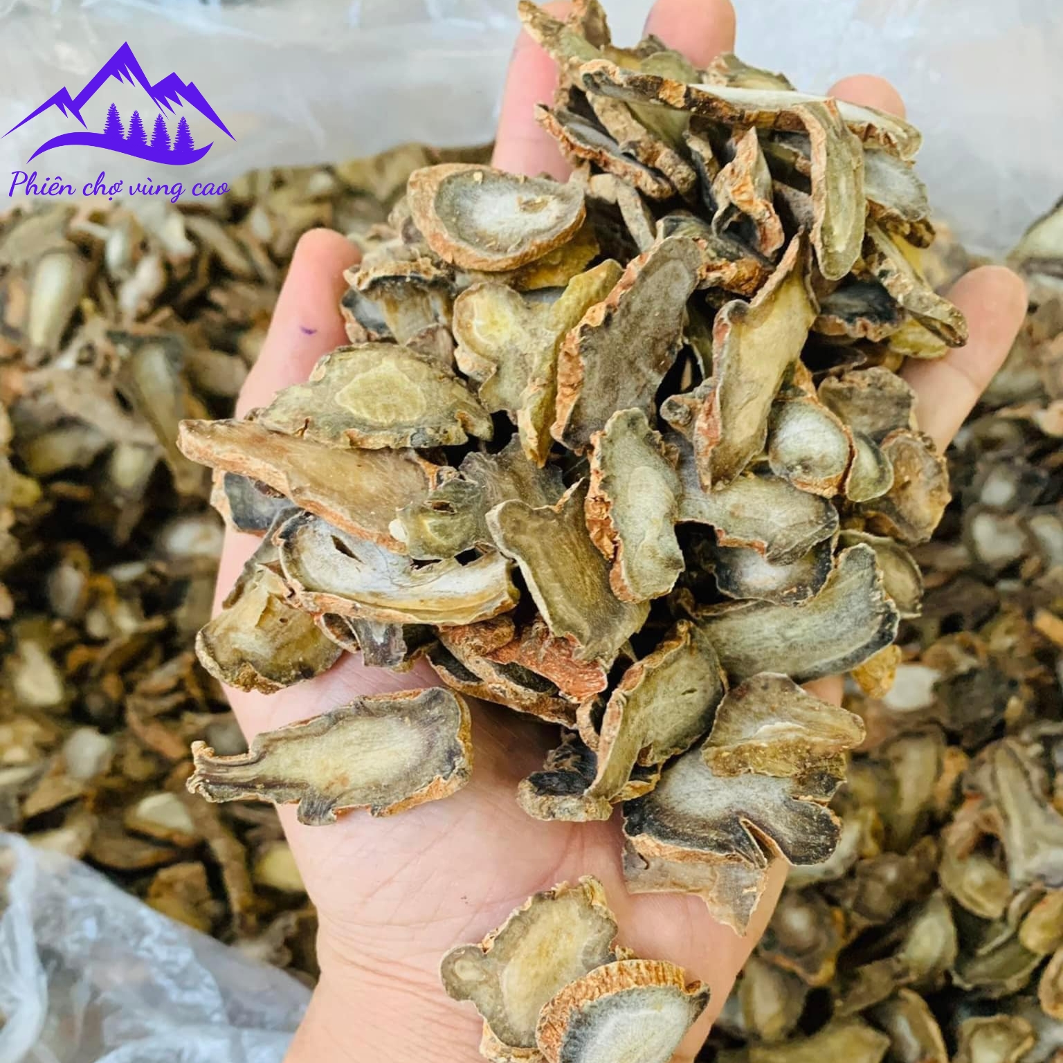 Tam thất bắc Hà Giang thái lát sấy khô từ tam thấy tươi củ già. Củ tam thất hoang nguyên chất nghiền bôt, ngâm mật ong