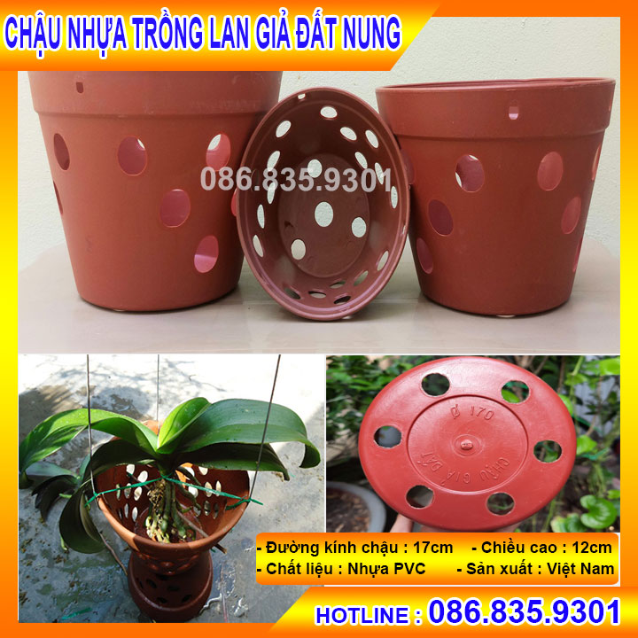 [Ảnh thật] 10 Chậu Nhựa giả đất nung trồng Lan ( đường kính 17cm )