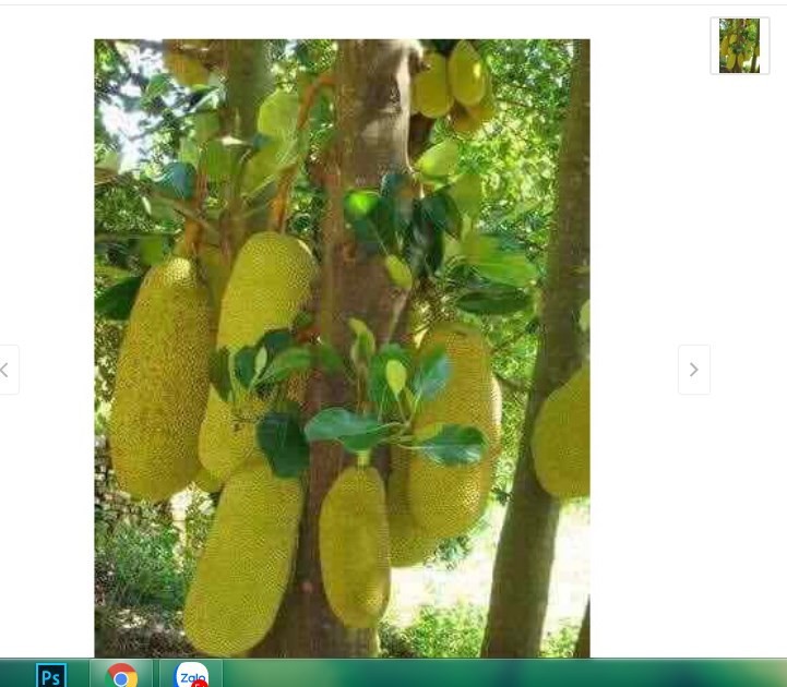 LRLU1NhIUpWAV0gBwJEF_simg_d0daf0_800x1200_max.jpg
