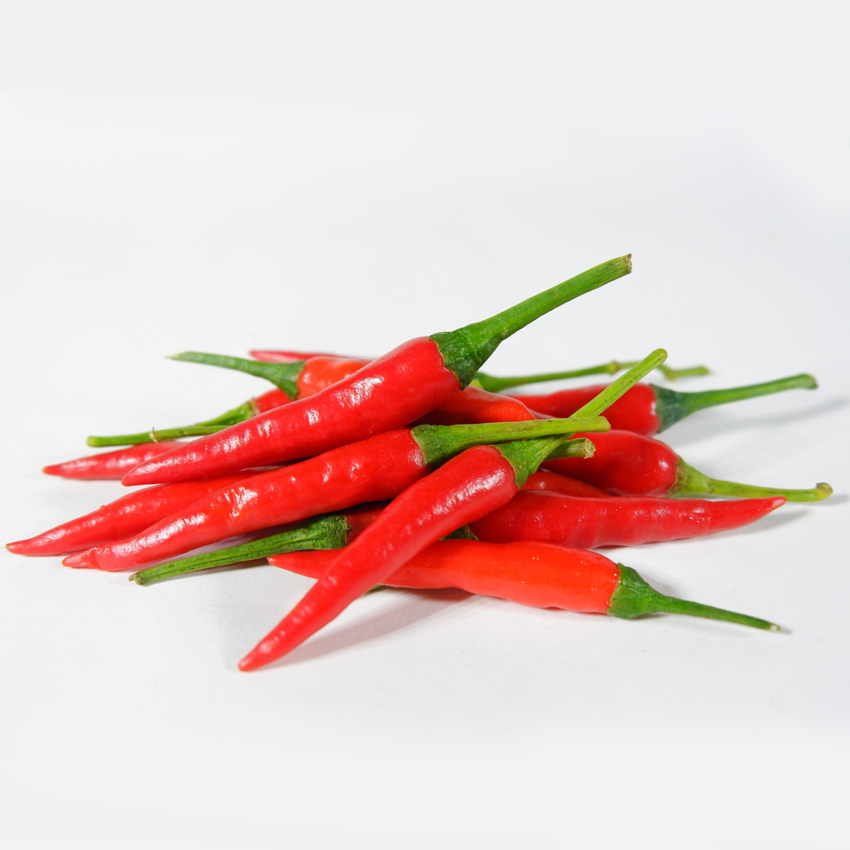 Ớt chỉ thiên (100g/80 quả)